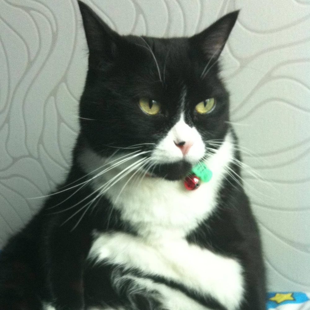 Meet your Posher, Candy